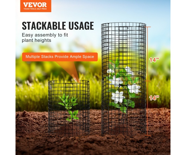 QBWZCL14YCHS4N9UIV0 gallery 0