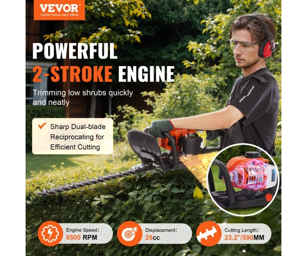 RQLLJSCSDZDLJ28IJV0 gallery 0