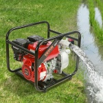 RYFDJSBYCYC27O63FV0 gallery 6