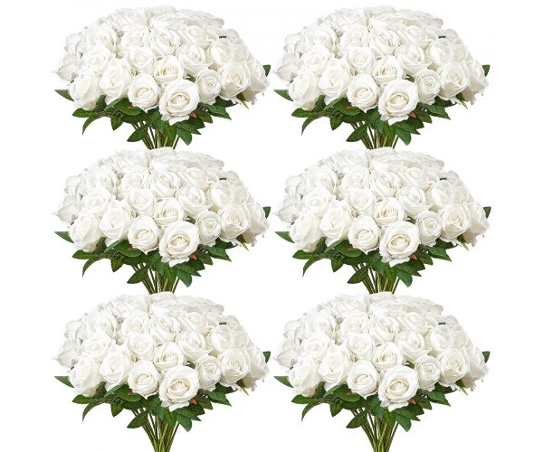 RZMGHSBS120PXVJ3D001V0