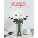 RZMGHSBS120PXVJ3D001V0 gallery 1