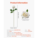 RZMGHSBS120PXVJ3D001V0 gallery 5