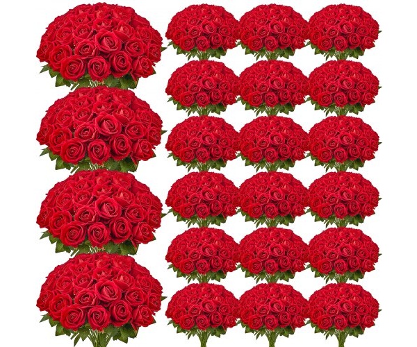 RZMGHSHS500PL0LEE001V0