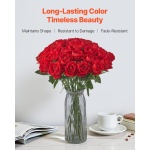 RZMGHSHS500PL0LEE001V0 gallery 1