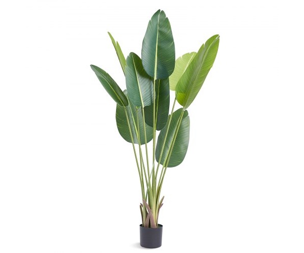 RZRDZW5FT1TT14RVAV0 5