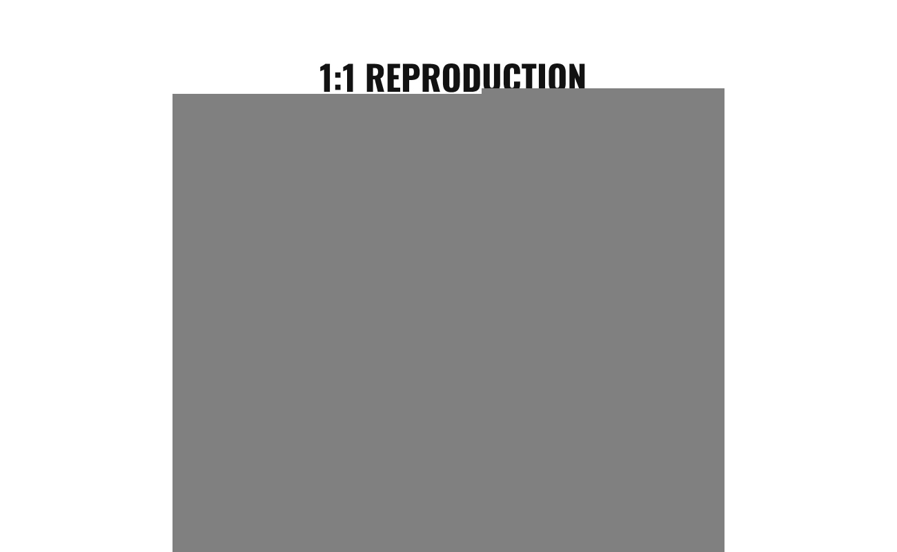 RZRDZW5FT1TT14RVAV0 gallery 2