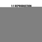 RZRDZW5FT1TT14RVAV0 gallery 2