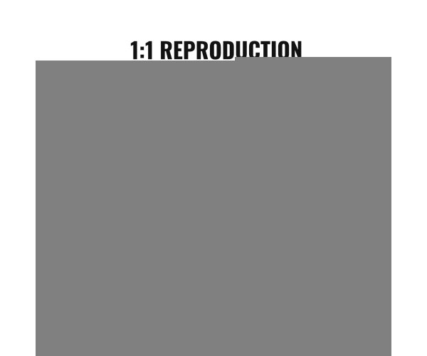 RZRDZW5FT1TT14RVAV0 gallery 2