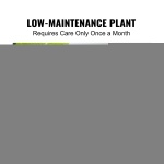 RZRDZW5FT1TT14RVAV0 gallery 4