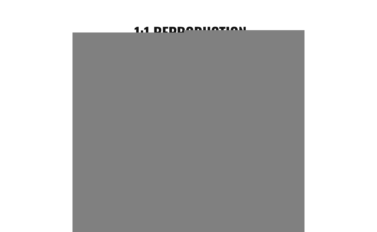 RZRDZW5FT2BLZBCF0V0 gallery 2