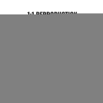 RZRDZW5FT2BLZBCF0V0 gallery 2