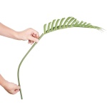 RZRDZW5FT2BLZBCF0V0 gallery 7