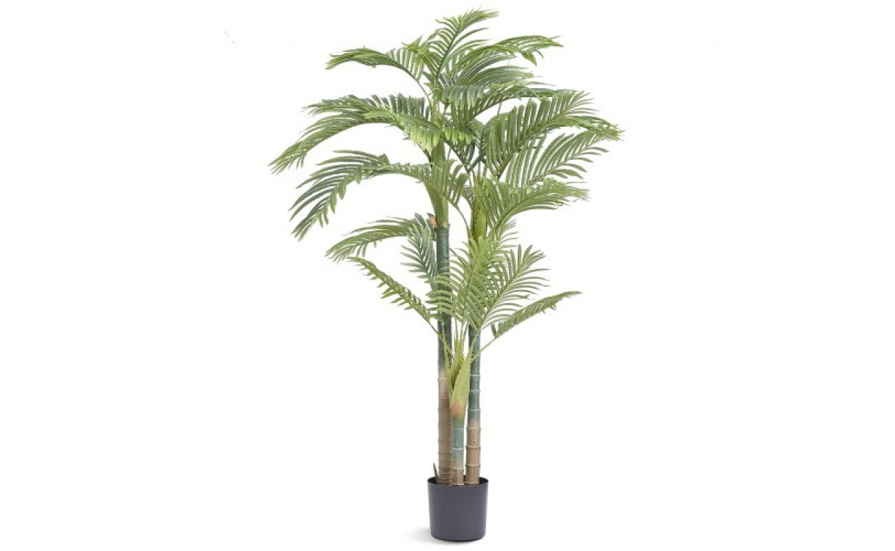 RZRDZW65FT1JI8DP4V0 1