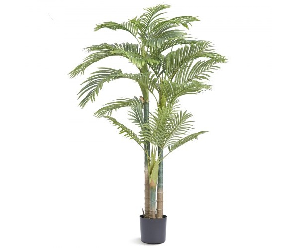 RZRDZW65FT1JI8DP4V0 1