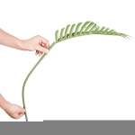 RZRDZW65FT1JI8DP4V0 gallery 7