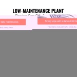 RZRDZW6FT1BLLKB97V0 gallery 4