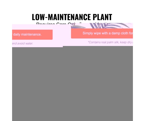 RZRDZW6FT1BLLKB97V0 gallery 4