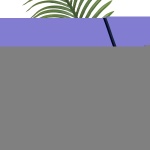 RZRDZW6FT1BLLKB97V0 gallery 9