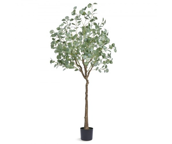 RZS6FTAS00006C43AV0 1