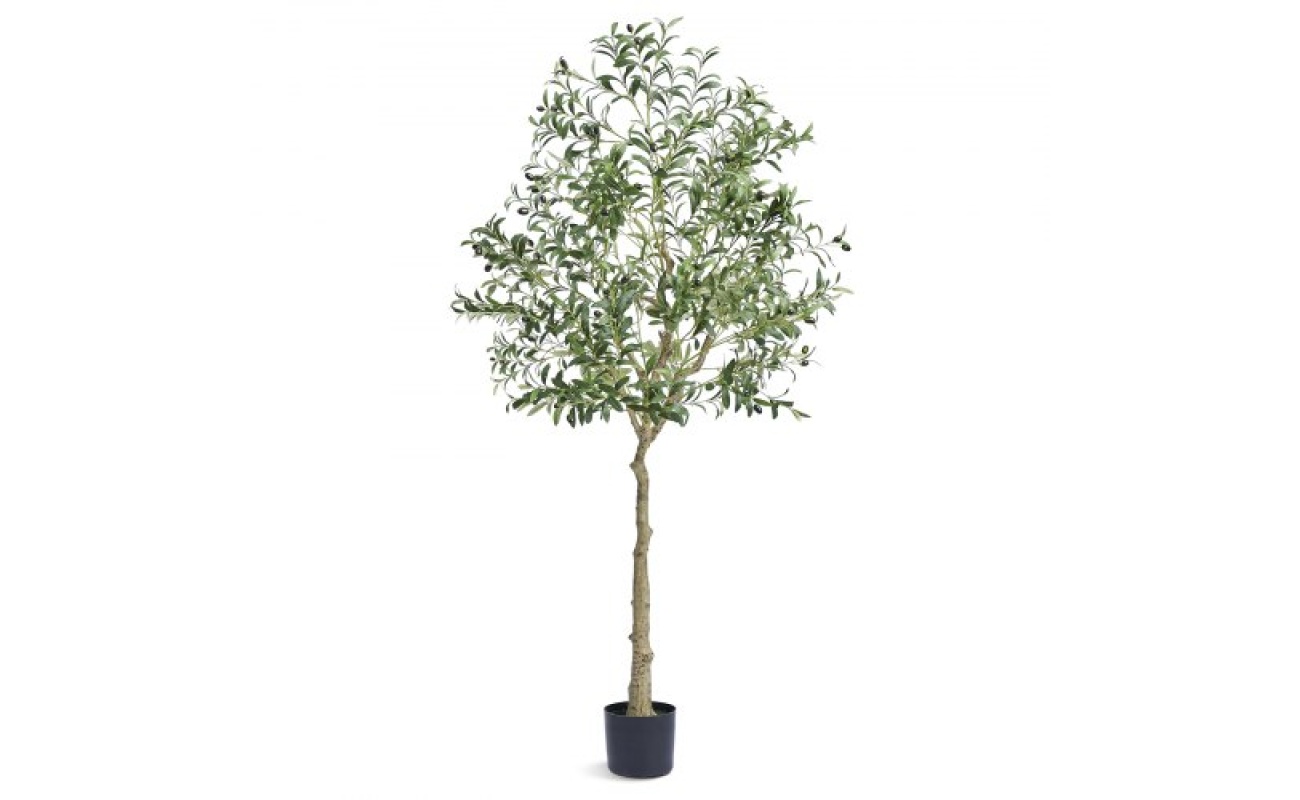 RZS6FTGLS000VAJSMV0 2