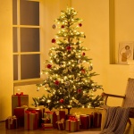 RZSDSQBSDSDS8ES4AV2 gallery 6 2