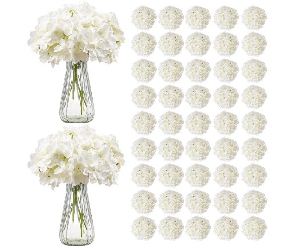 RZXQBS105PCSKMGDN001V0