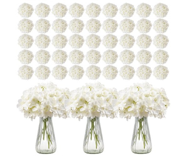 RZXQBS305PCSV5X1B001V0