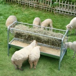 SCWSQ5919633EY63VV0 gallery 6