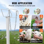 SCXJJBSYTM47JNHGXV0 gallery 4