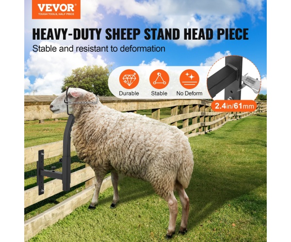 SCXJJHSWTMFFW86ZUV0 gallery 0