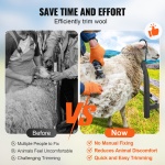 SCXJJHSWTMFFW86ZUV0 gallery 2