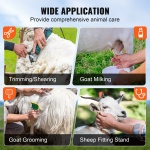 SCXJJHSWTMFFW86ZUV0 gallery 4