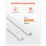 SJHXTUV25W6GBE9K5V2 gallery 4 2