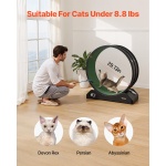 SLMPBJHSPP315IBR5V0 gallery 2