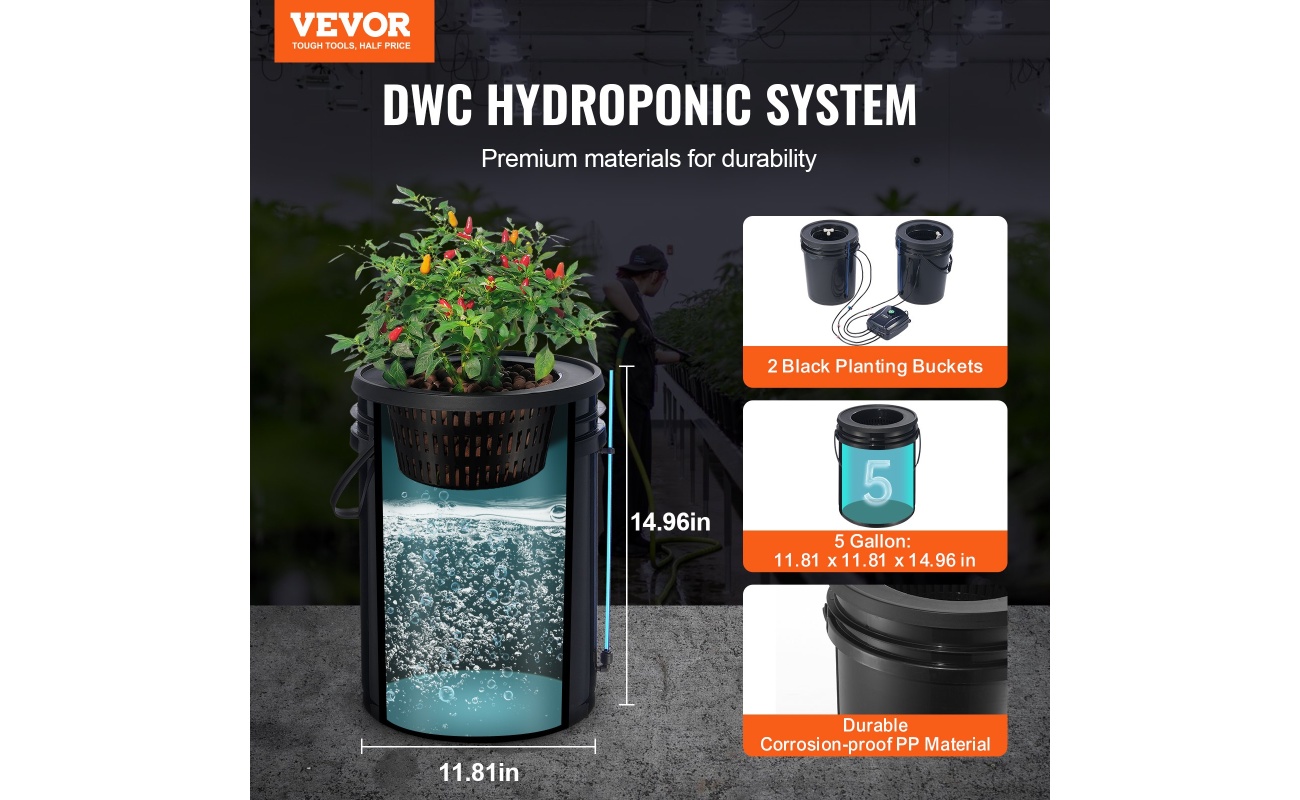 SSSPXT2T8INK25VV5V2 gallery 0