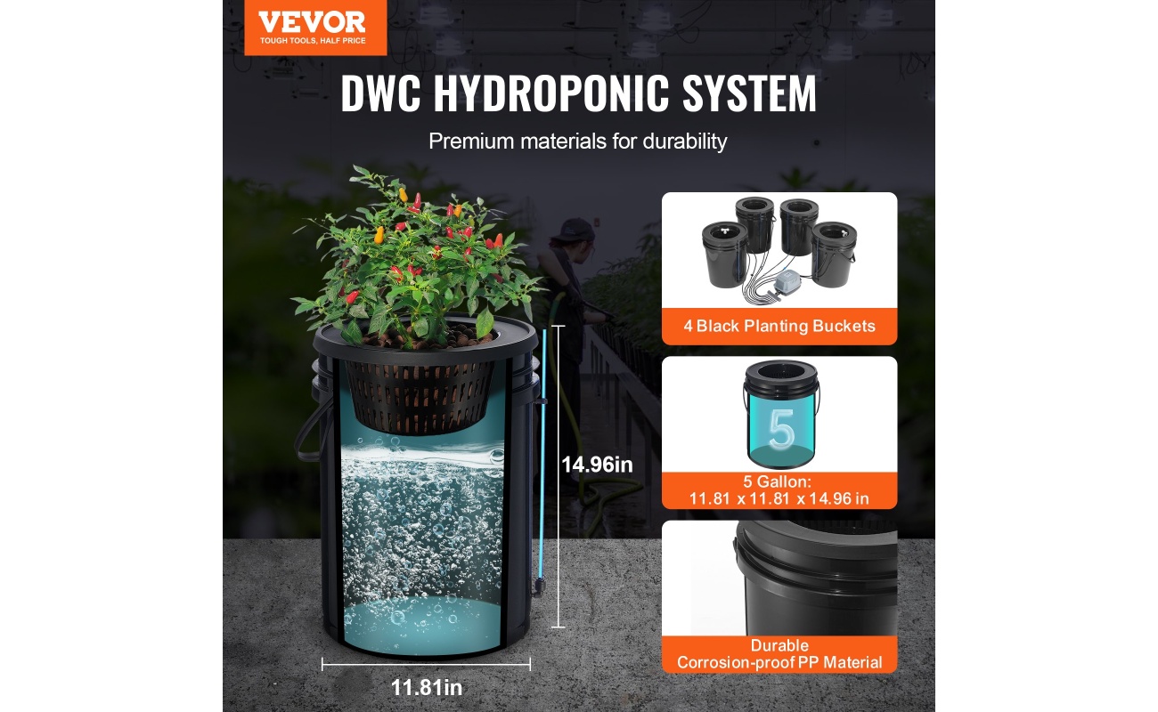 SSSPXT4T8INKT37WZV2 gallery 0