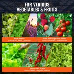 SSSPXT4T8INKT37WZV2 gallery 4