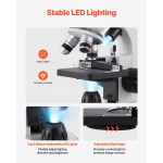 STFHXWJ4X10XJU1SR001V2 gallery 4 2