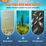 SXPQJY550W53242TQV2 gallery 0