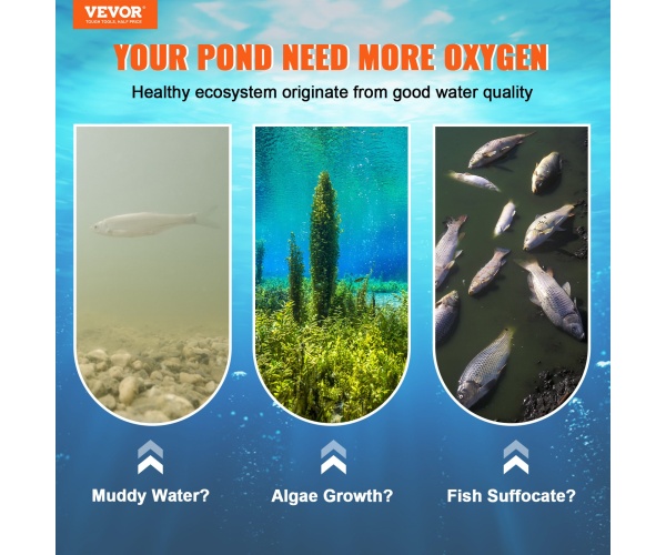 SXPQJY550W53242TQV2 gallery 0