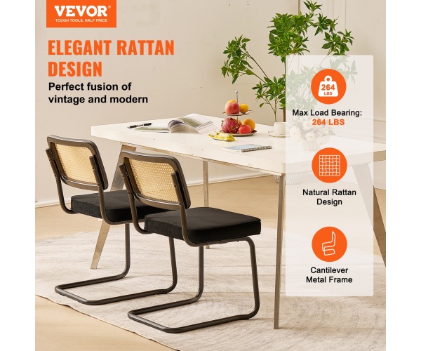 TBYCYTERHS20VLE0IV0 gallery 0