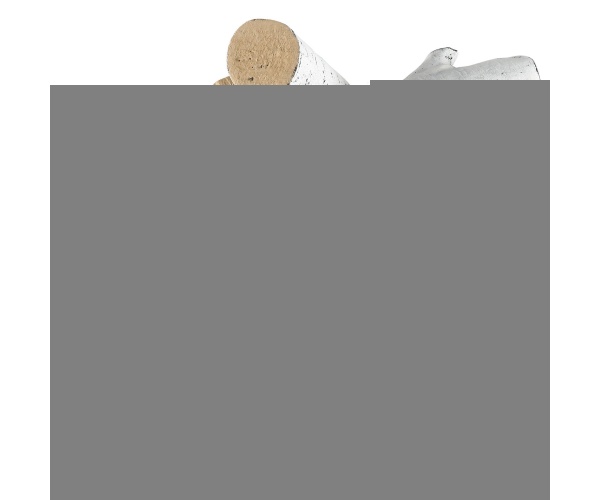 TCXWYM6HM000UI9FFV0 retry 8