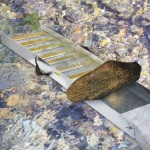 TJGJJSZDLCX508DSSV0 gallery 6