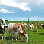 WLDXJSKJSK160WWTXY3 gallery 6