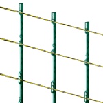 WLDXJSKJSK333Z33CY3 gallery 9