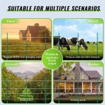 WLDXLZKLZK16Y7NKHY3 gallery 4