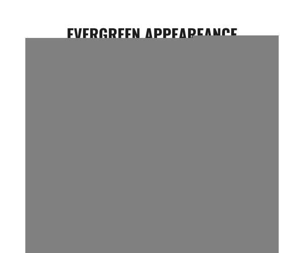 WLSRZZWQ1J391EPVKV0 retry 1