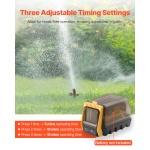 WSSSBQSSDEWAEZNVQV9 gallery 2