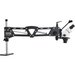 WXQJTZHXDWNX0FPKWV9 gallery 7