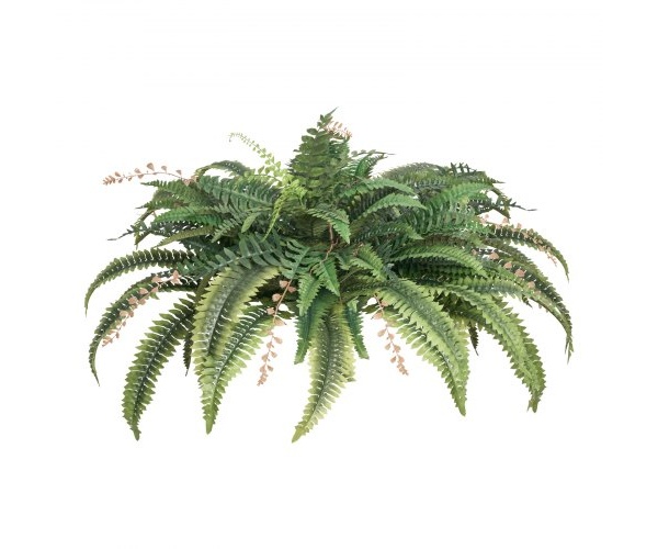 XDSRZJLZWBHH076QJ001V0